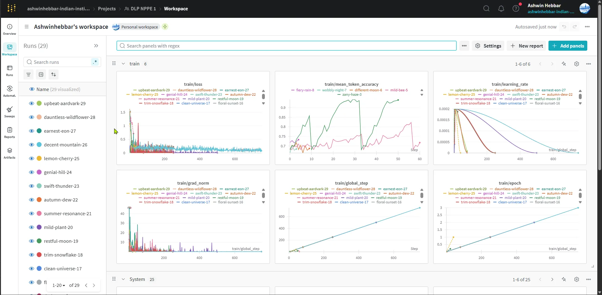 WanDB Dashboard for this project